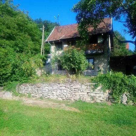Panorama Vendeghaz Ferienhaus
